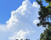 菏泽天气预报,菏泽7天天气预报,菏泽15天天气预报,菏泽天气查询